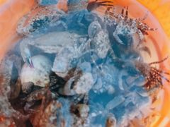 -贝壳沙滩