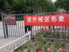 -金星公园