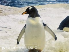 -珠海长隆海洋王国