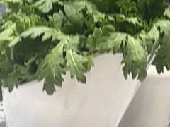 -千牛将·鲜牛肉火锅(开元路店)