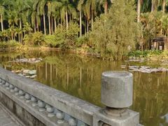 -滴水岩森林公园