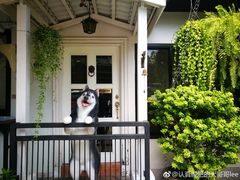 -TrueLove @ Neverland (Husky Cafe)