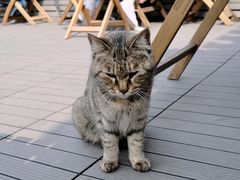 -前叁門