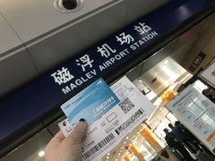 -龙阳路磁悬浮列车总站-停车场