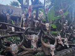 -云南民族村