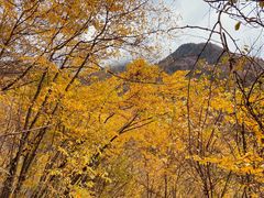-叠溪松坪沟景区