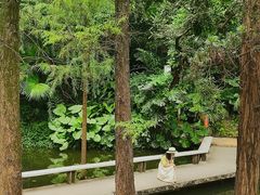 -广州兰圃