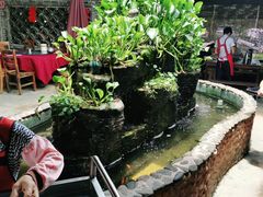 -园林美食城·本土农家菜(杨和镇店)