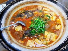 红汤水库鱼头-庄稼人(蓝岸3G店)