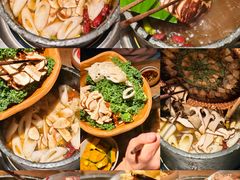 -蘑界·野生菌火锅(深业上城店)