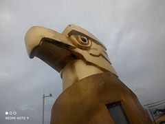 -大金鹰园