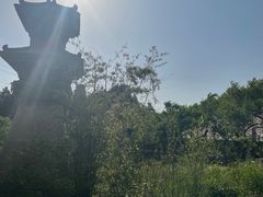 -原山国家森林公园