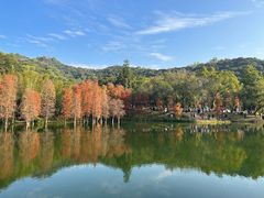 -广州市白云山风景名胜区