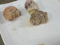 -七鲜渔港美食餐厅(巽寮湾海景店)