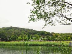 -牛岗山公园