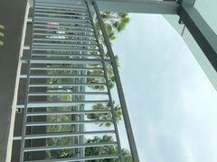 -观澜湖高尔夫球会
