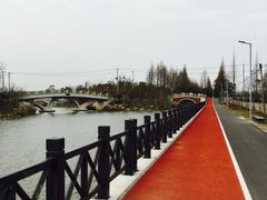 -上海长兴岛郊野公园