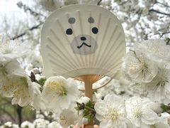 -海淀公园