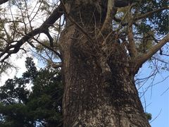 -普陀山风景名胜区-法雨禅寺