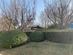 -庆丰公园西园-乐家花园