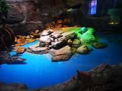 -多彩贵州城极地海洋世界