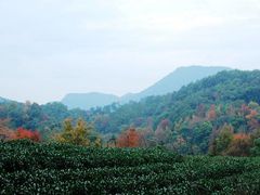 -西湖风景区十里琅珰-五云山