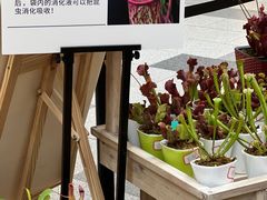 -武汉荟聚