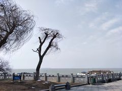 -湖南东洞庭湖国家级自然保护区