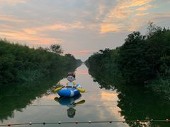 -黄海国家森林公园