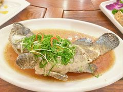 清蒸老虎斑鱼-四海之家(蛇口店)