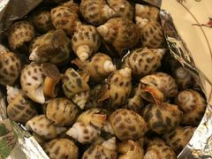 -盛港湾海鲜食府(黄沙店)