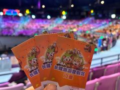 -广州长隆国际大马戏