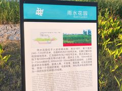 -春花秋色城市公园