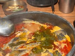 -毛辣果·酸(OHA复兴西路店)