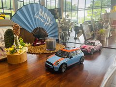 -上海普陀宝诚MINI4S店(红柳路店)