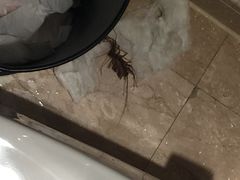 -杭州世外桃源君澜度假酒店