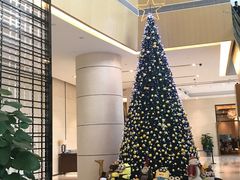 -重庆悦来温德姆酒店