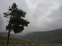 -蔚县茶山村