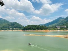 -广州市流溪河国家森林公园