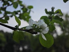 -重庆中央公园(渝北区)
