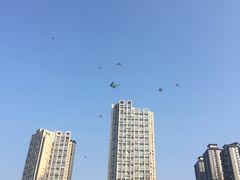 -海棠烟雨公园