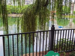 -宝岛公园