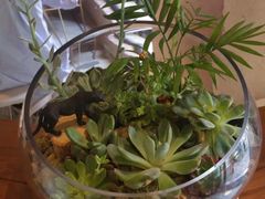 -龙脊堂龙氏推拿 整脊(陆家浜店)