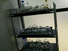 拔火罐-龙脊堂龙氏推拿 整脊(陆家浜店)