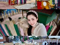 -上海佘山世茂艾美酒店