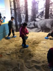 -恐龙探索乐园(磁器口店)