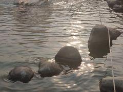-莲湖公园
