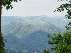 -四明山国家森林公园