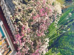 -深圳国际园林花卉博览园