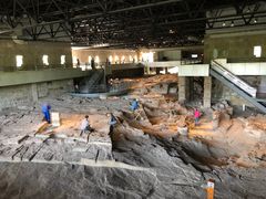 -自贡恐龙博物馆